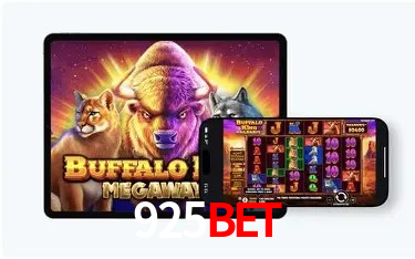 Tecnologia da Plataforma 925bet